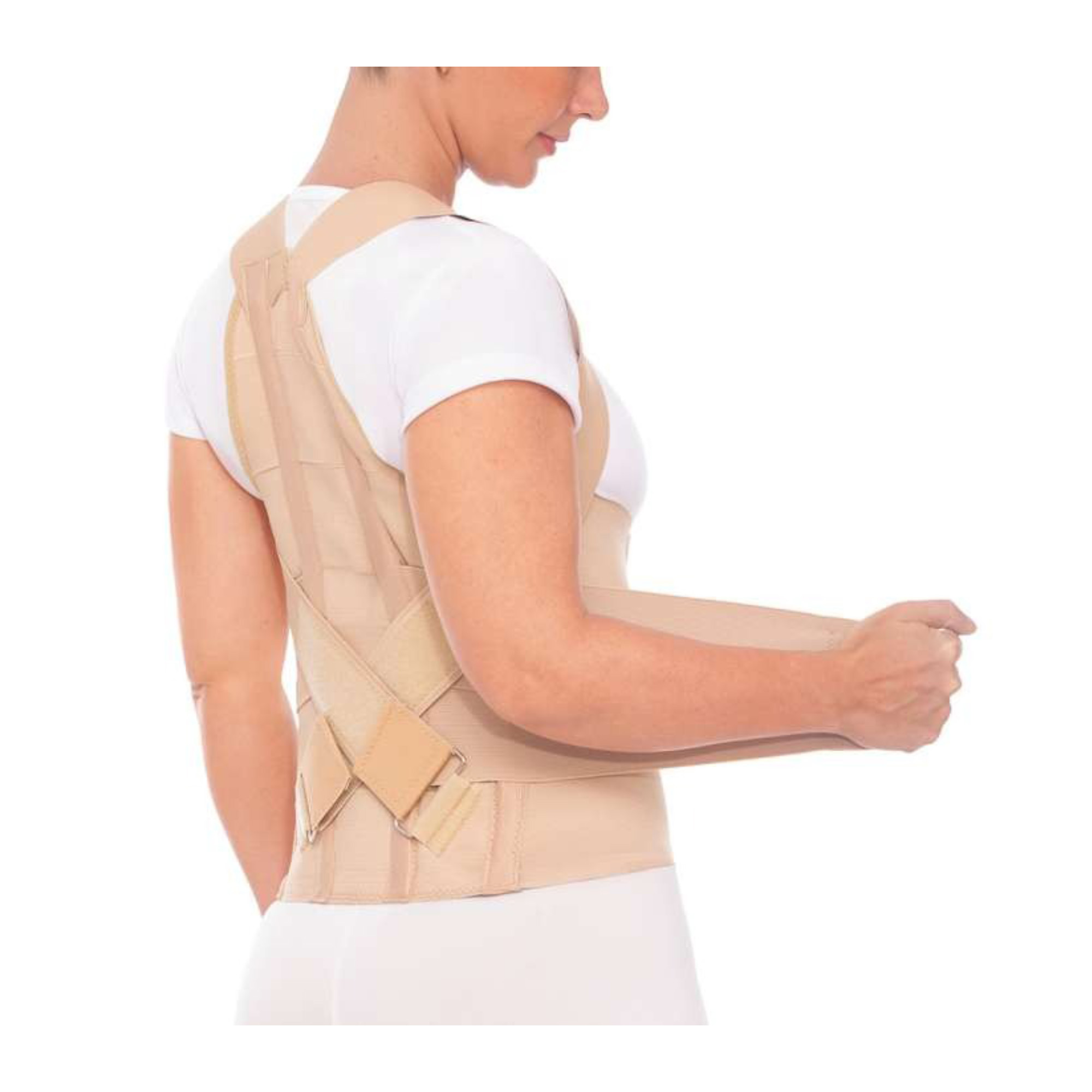 FAJA CON CORRECTOR POSTURAL T2 E026-A – DEMA - Imagen 2